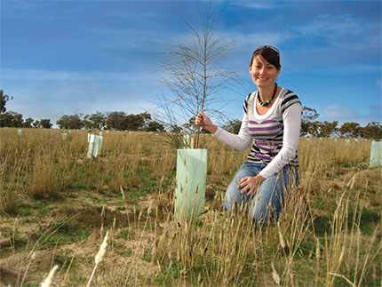 My carbon offset site in Hartley, South Australia, 2008.