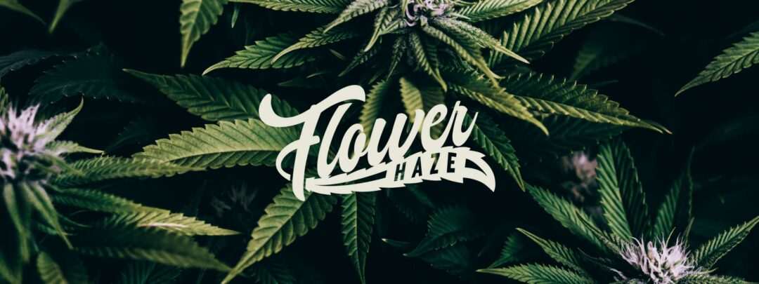 FlowerHaze